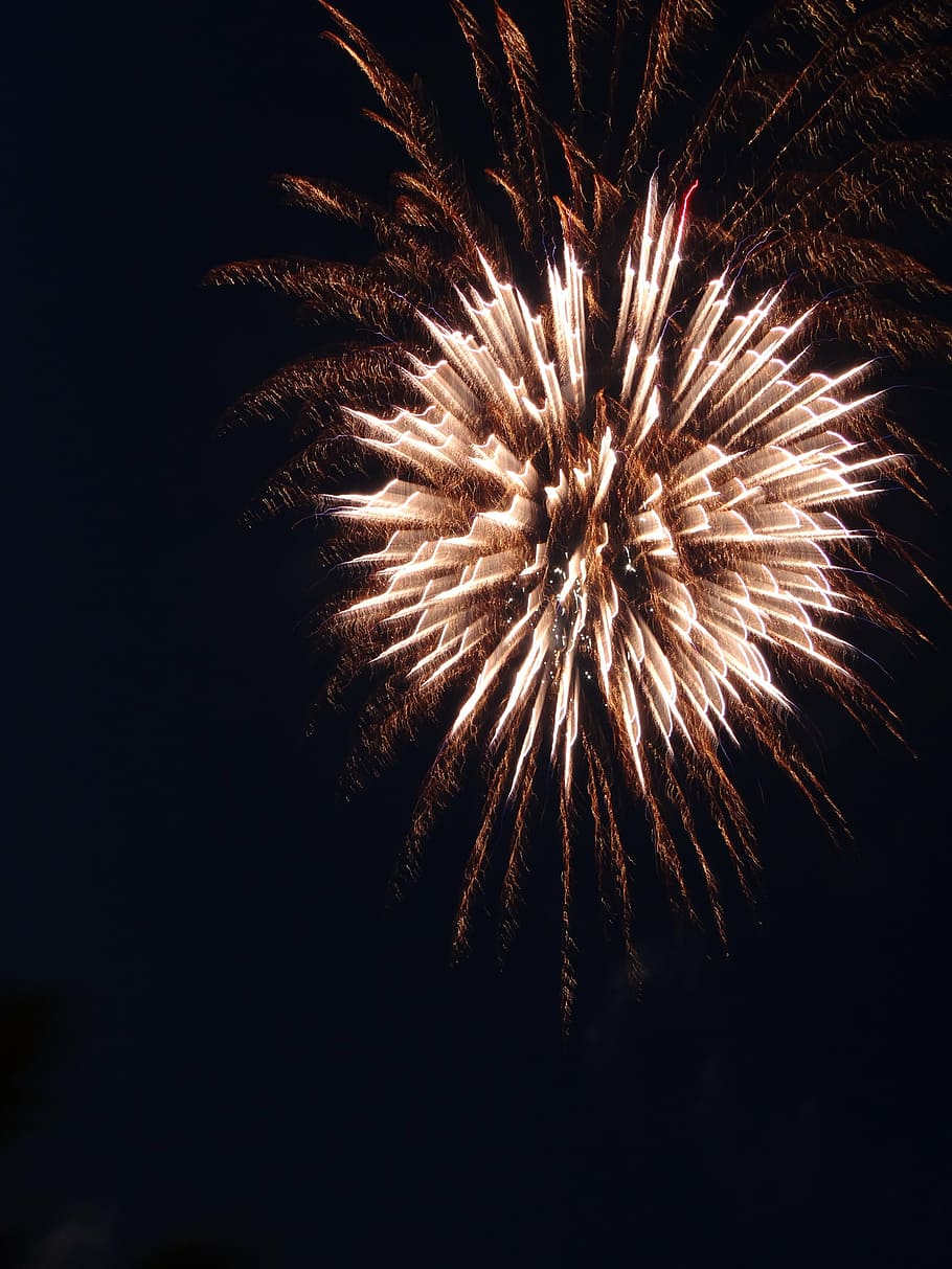 exhibición de fuegos artificiales, fuegos artificiales, galletas, sylvester, petardos, cohete, explosión, día de año nuevo, 2015, noche