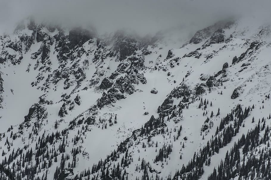Mountain Rage View, nublado, cielo, nieve, invierno, blanco, frío, clima, hielo, árboles