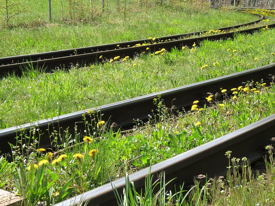 track, railroad track, seemed, meadow, spring, flowers, green, track bed, landscape, railway rails