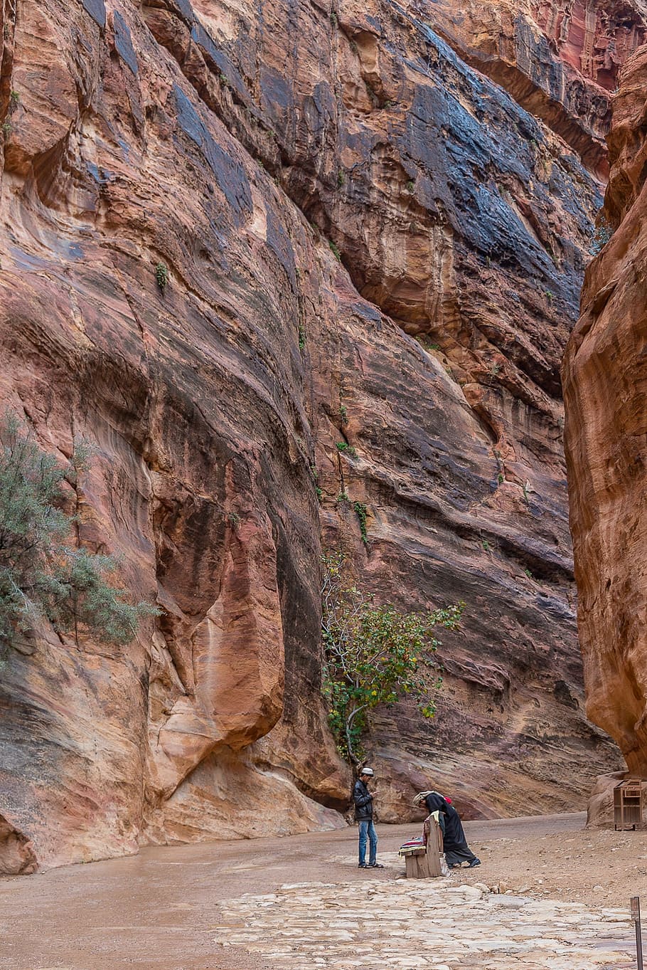 Jordan, Petra, Desert, Stone, Tree, nature, rock - Object, people, utah, scenics
