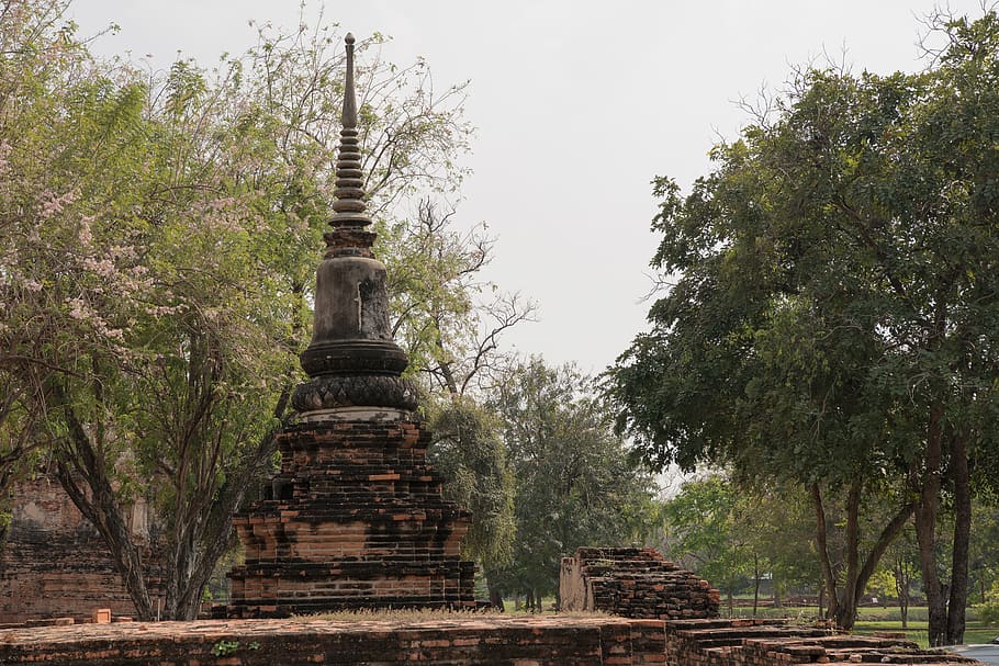 thailand, ayutthaya, reruntuhan, sejarah, kuil-kuil tua, pohon, Arsitektur, agama, struktur yang dibangun, kepercayaan