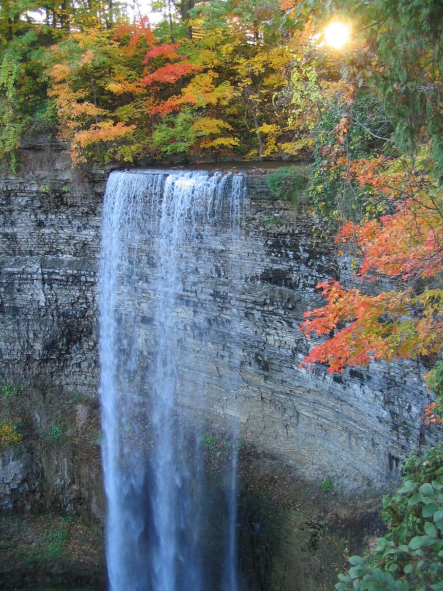 waterfall, autumn, fall, stream, forest, nature, niagara escarpment, tew's falls, ontario, canada