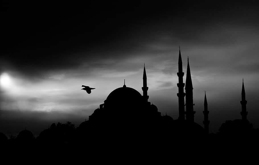 silhouette, bird, dome building, cami, minaret, istanbul, islam, muslim, religion, there is