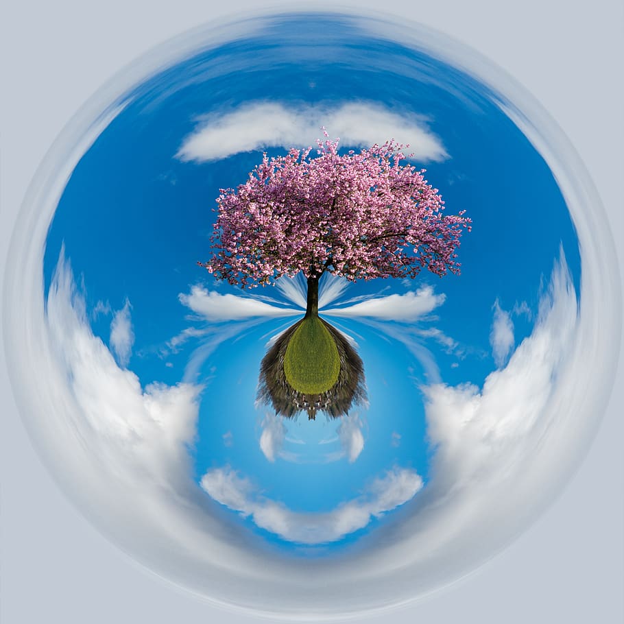 spherical, ball, environment, sky, tree, plant, cloud - sky, nature, flowering plant, digital composite