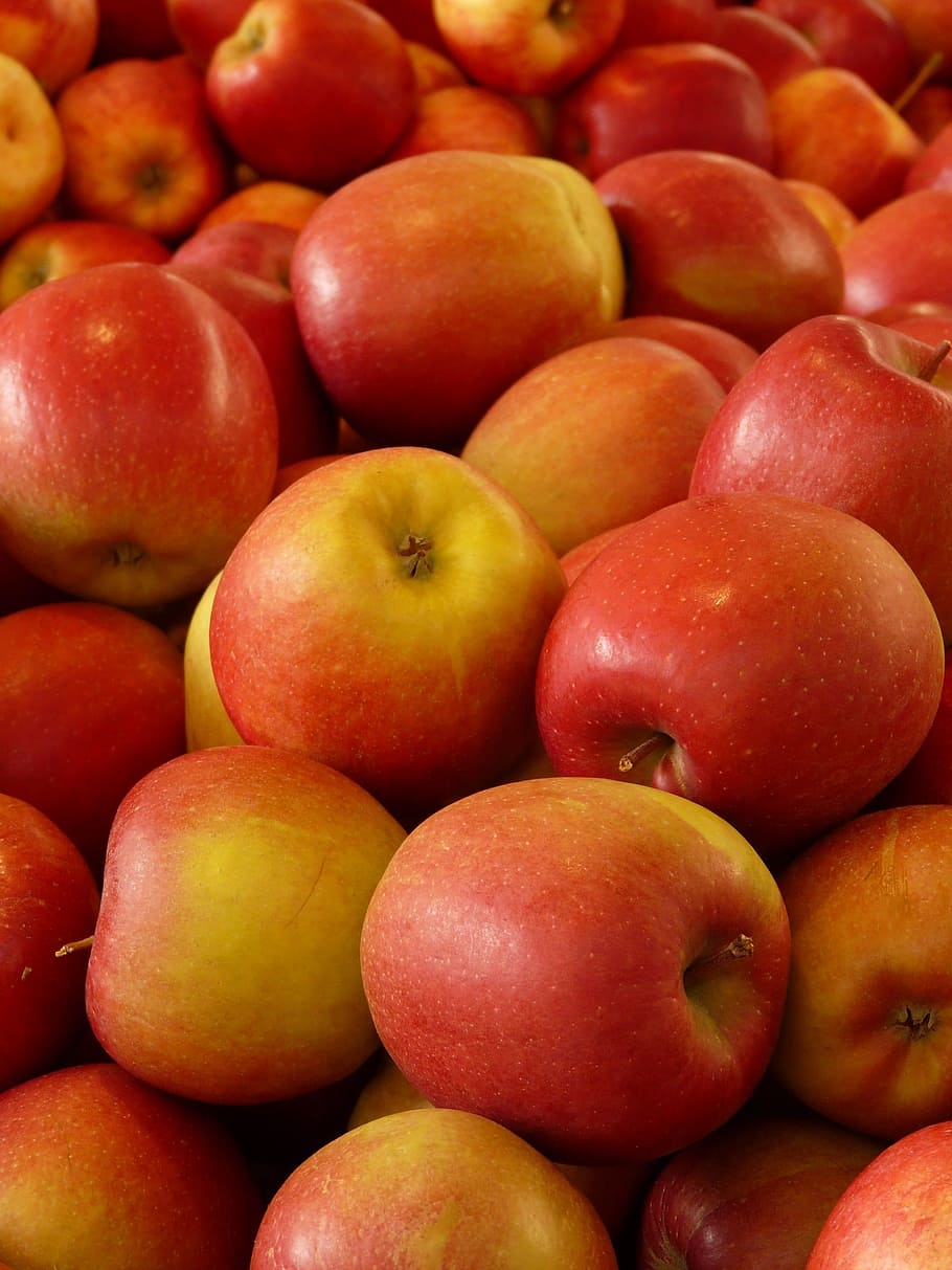 banyak apel, apel, buah, vitamin, frisch, sehat, matang, merah, lezat, makanan