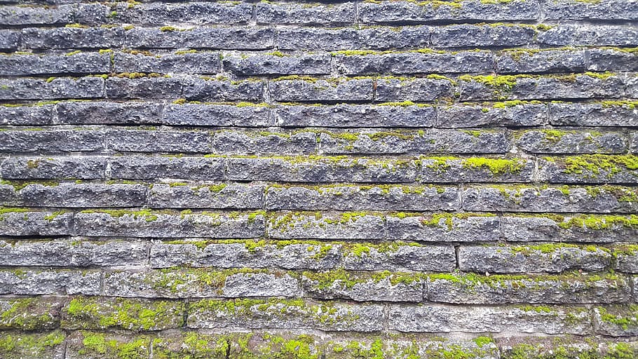 gray bricked wall, texture, wall, brick, stone, moss, aged, brickwork, weathered, rough