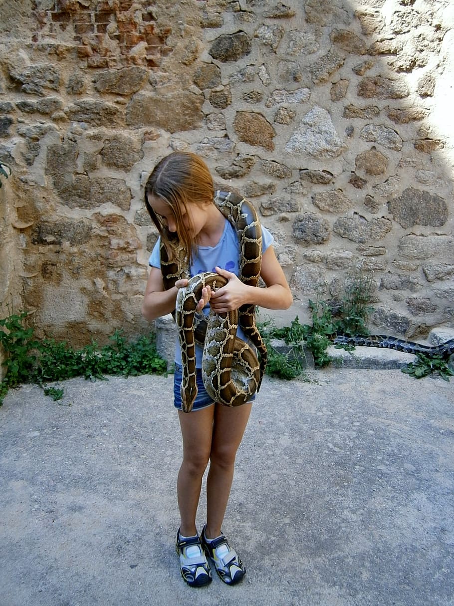 menina, cobra, menina com cobra, serpentina, o corajoso, o jardim zoológico, veado, comprimento total, uma pessoa, roupas casuais