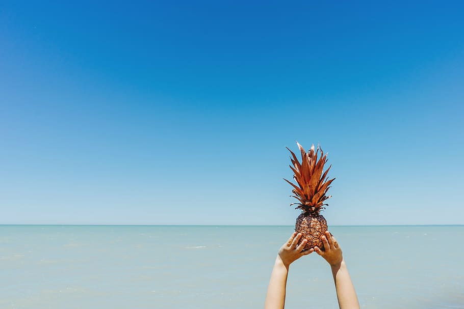 person, holding, pineapple, beach, blue sky, enjoyment, leisure, ocean, outdoors, relaxation