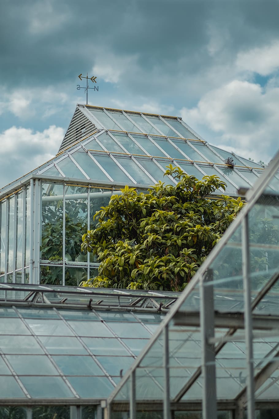 greenhouse, plants, nature, structure, glass, building, clouds, sky, cloud - sky, architecture