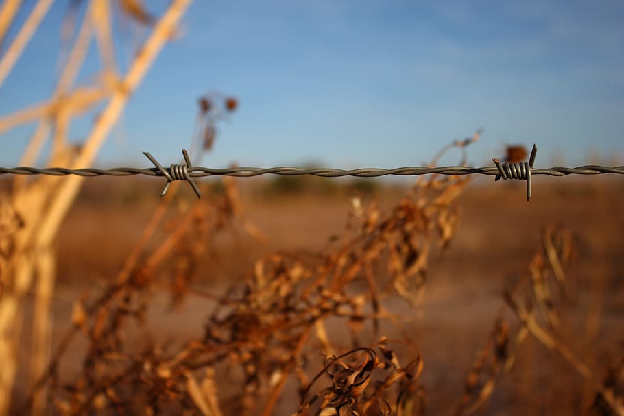 Barbed Wire, Field, Fence, Risk, wire, barbed wire fence, metal, caution, fence post, nature