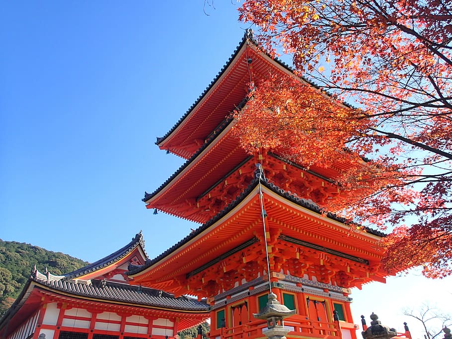 structural, photography, red, pagoda, blue, sky, Autumn Leaves, Hunting, Kyoto, autumn leaves hunting