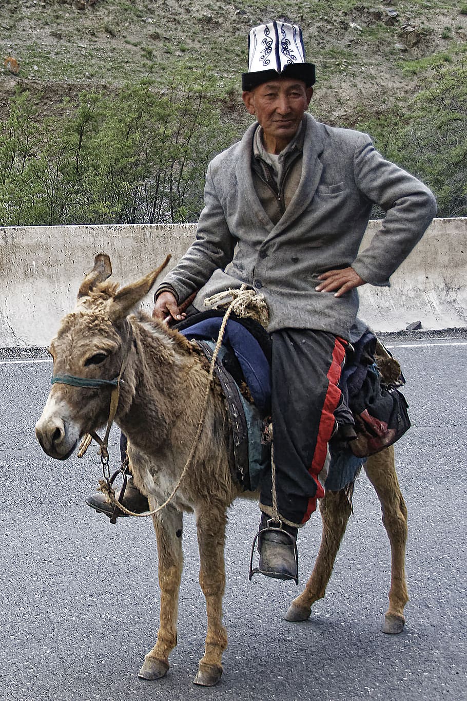 man, donkey, human, animal, ride, culture, costume, hat, kyrgyzstan, traditional