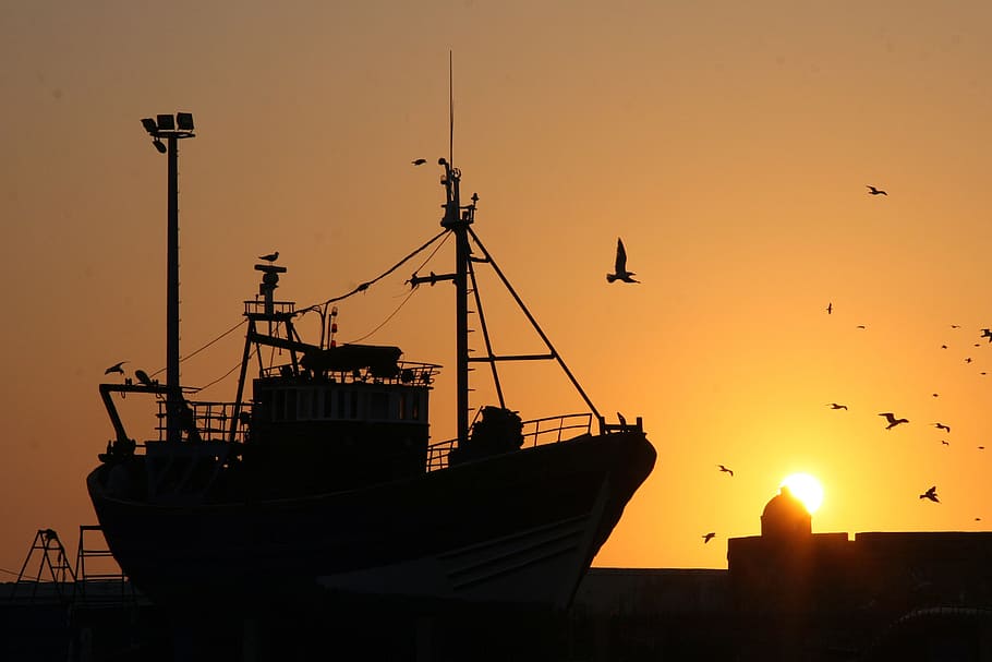 silhouette, ship, sunset, Boat, Fishing, Fishing Boat, Fisheries, Sea, boat, nautical vessel, freight transportation