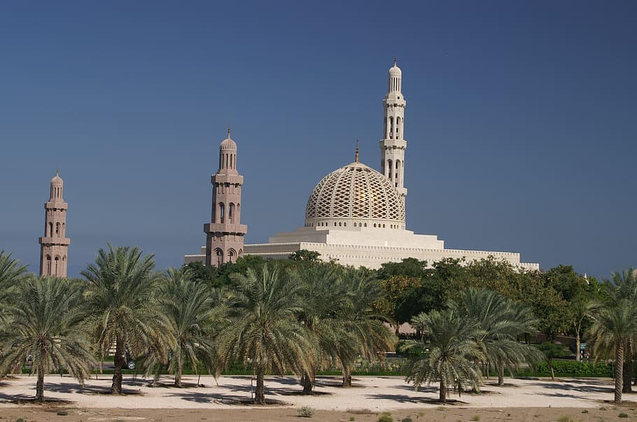 white, mosque, trees, daytime, oman, muscat, islam, minaret, arabia, architecture