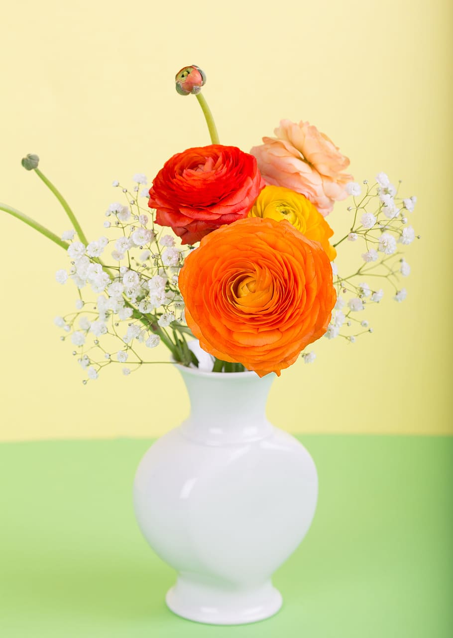 variety, flowers, vase, yellow, background, flower, ranunculus, flower vase, bouquet, spring