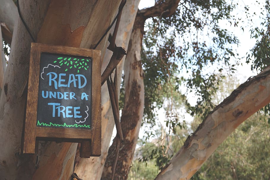 madera, árbol, planta, naturaleza, signo, texto, guión occidental, comunicación, letrero, información