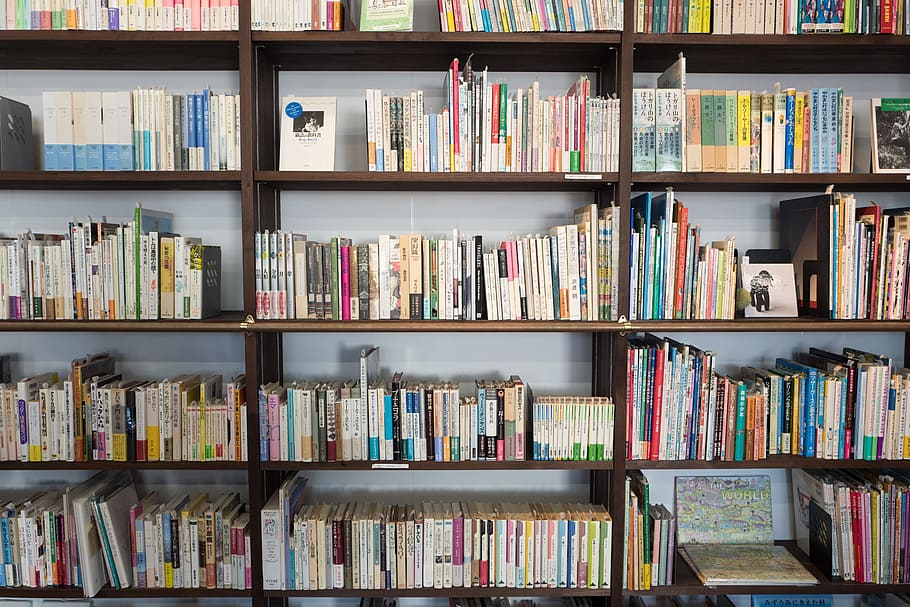 berbagai macam, banyak buku, coklat, kayu, rak buku, buku, perpustakaan, literatur, rak, toko buku