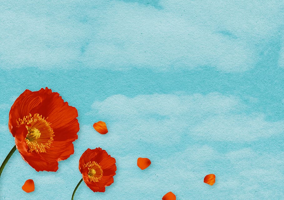 flowers, clouds, sky, background image, klatschmohn, petals, flying, spring, paper, greeting card