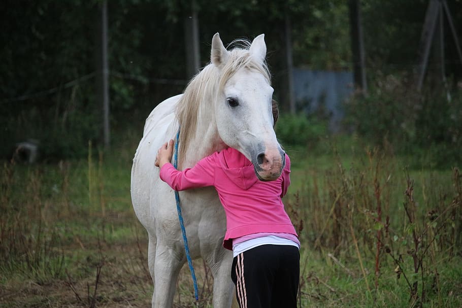 person, pink, sweatshirt, hugging, white, horse, girl, friendship, stallion, mold