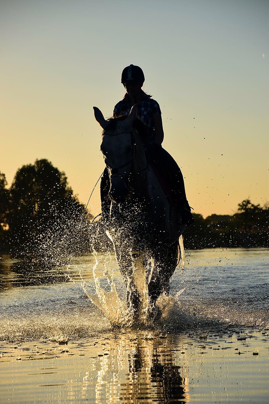 silhouette, person rinding horse, horse, ride, water, sea, sunset, evening, outdoors, men