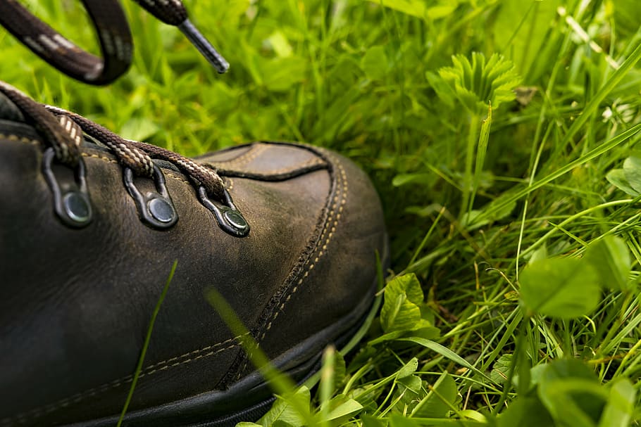 person, stepping, grass, hiking shoes, hiking, shoes, outdoor, mountaineering shoes, shoelaces, worn