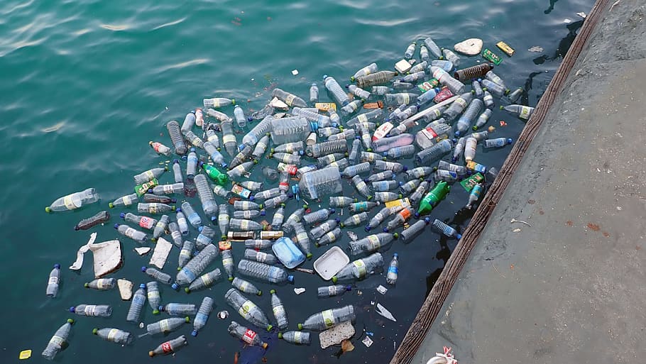 berbagai macam, botol plastik, badan, air, siang hari, plastik, kontaminasi, sampah, limbah, lingkungan