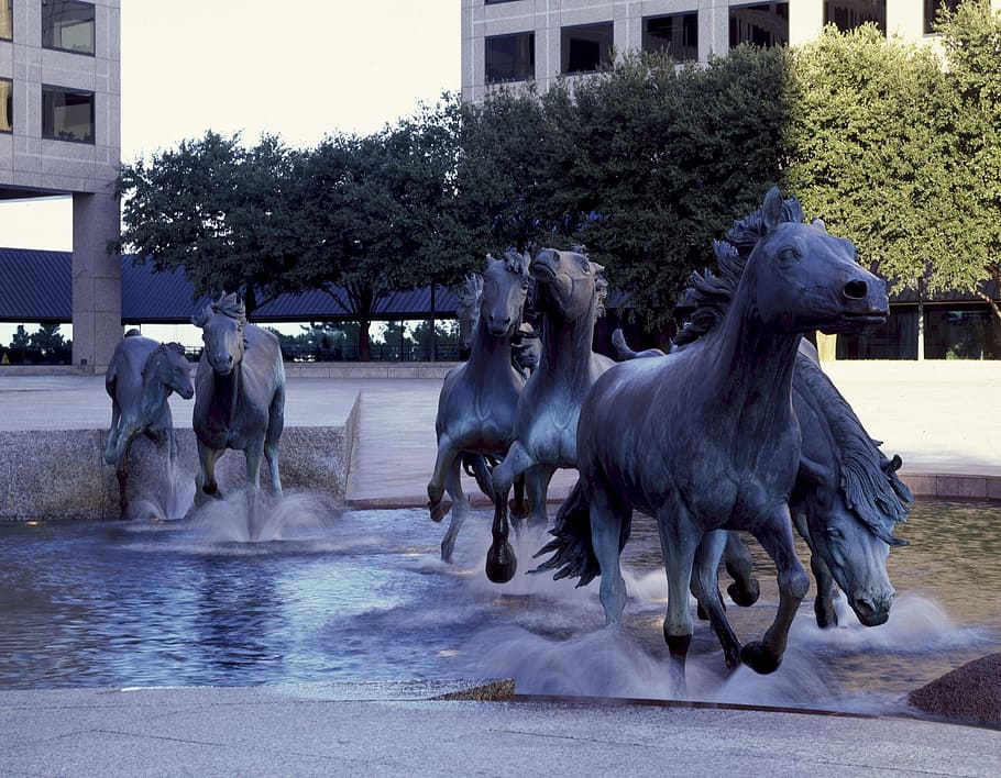 gray, concrete, horses, green, leafed, trees, daytime, Mustangs, Sculpture, Bronze