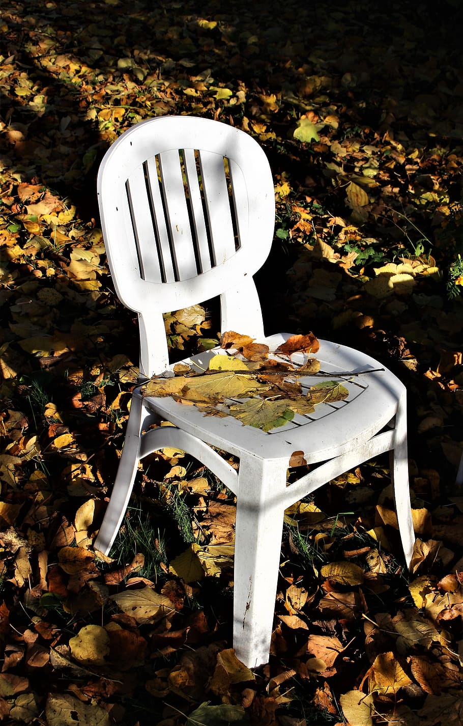 autumn, garden, chair, autumn leaves, colors, leaf, autumn garden, brown leaves, yellow leaves, trädgårdsstol