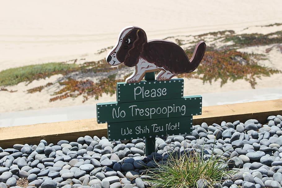 por favor, trespooping, shih tzu, señalización, perro, caca, naturaleza, animal, signo, doggo