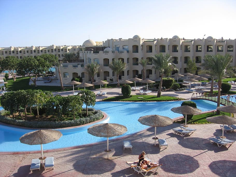 Antena, fotografía, personas, tumbado, tumbona, al lado, natación, piscina, hotel, Hurghada