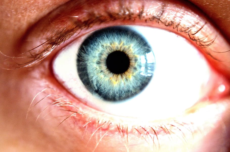 olho, azul, córnea, cor, macro, plano de fundo, pessoas, mulher, sentido, visão