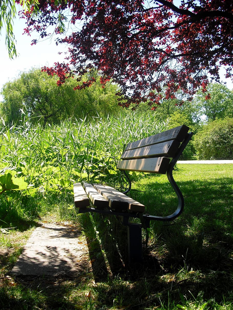 idyll, bank, seat, rest, bench, on the go, shadow space, relax, recover, local recreation