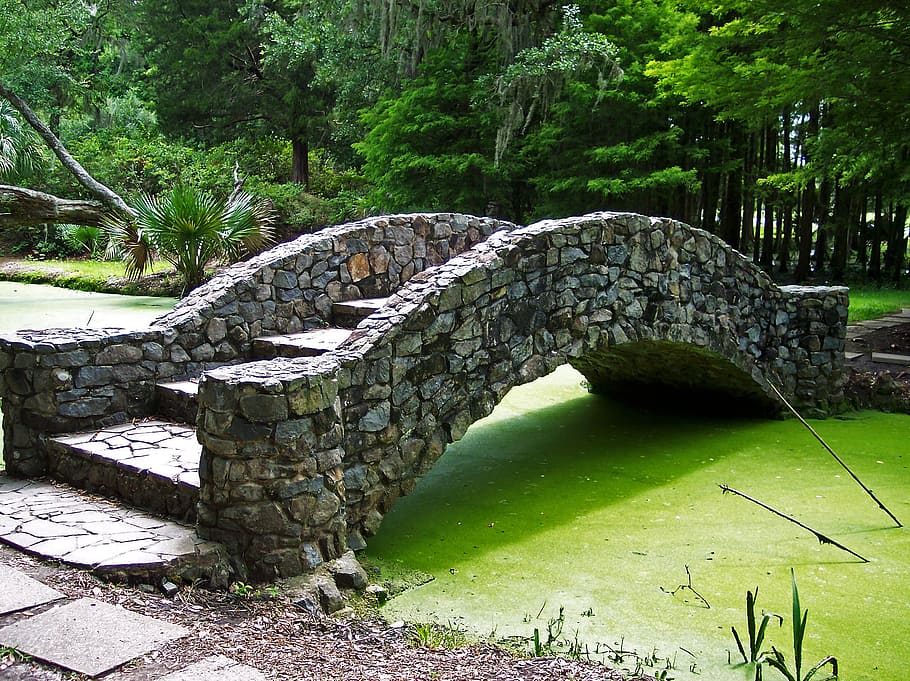 gray, concrete, bridge, green, lake, surrounded, trees, green lake, footbridge, garden