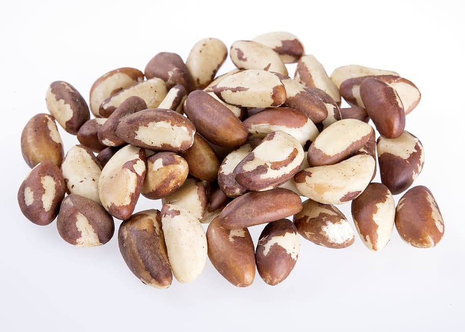 coklat almond, Kacang Brazil, Biji, Alami, Kacang-kacangan, Makan, biji kacang brazil alami, alam, kacang, vitamin