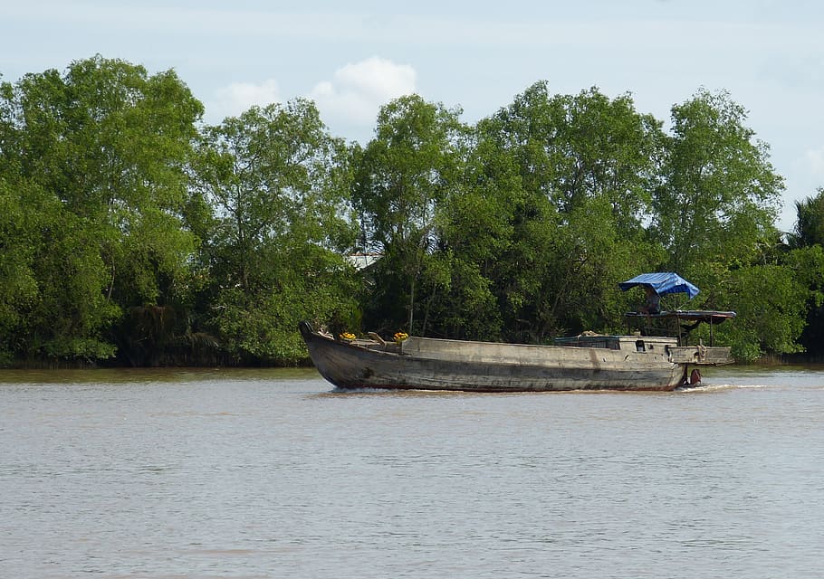 Vietnam, sungai mekong, mekong delta, sungai, mengangkut, kapal, tropis, transportasi jalur air pedalaman, pengiriman, perahu kayu