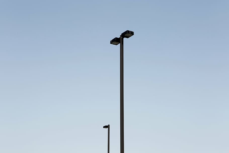 silhouette, metal post, black, light, post, daytime, lamp posts, blue, sky, animals in the wild