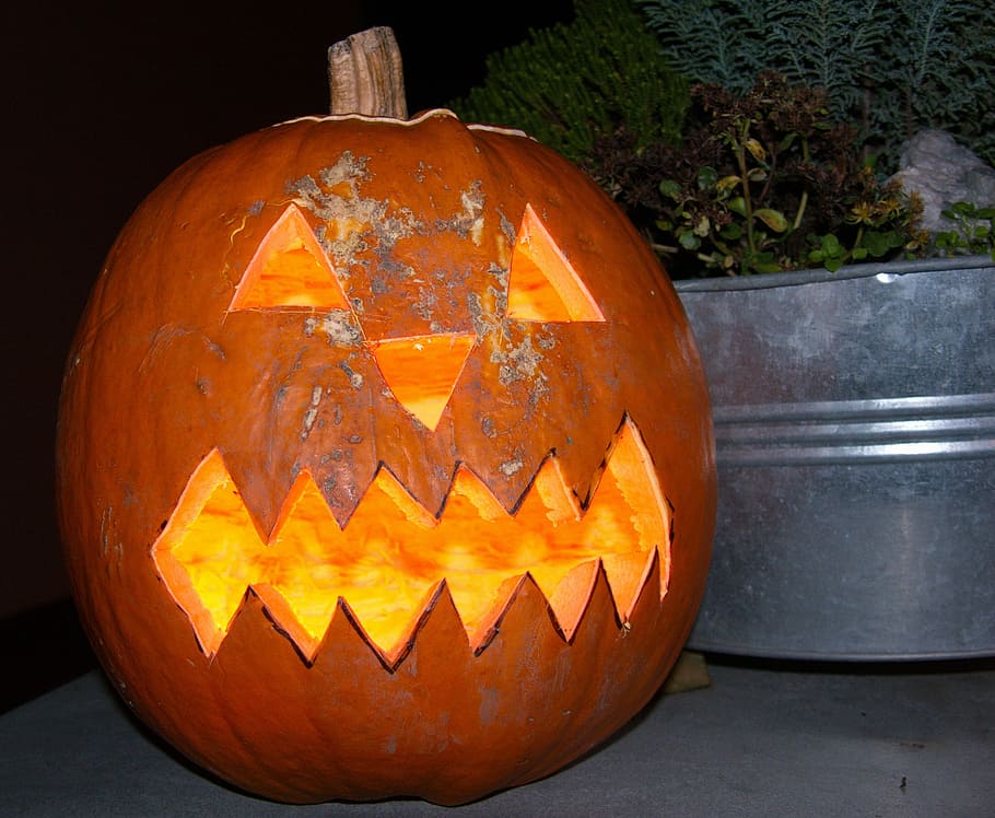 Halloween, Pumpkin, Faces, halloween, pumpkin, jack o' lantern, anthropomorphic face, celebration, spooky, face, art and craft