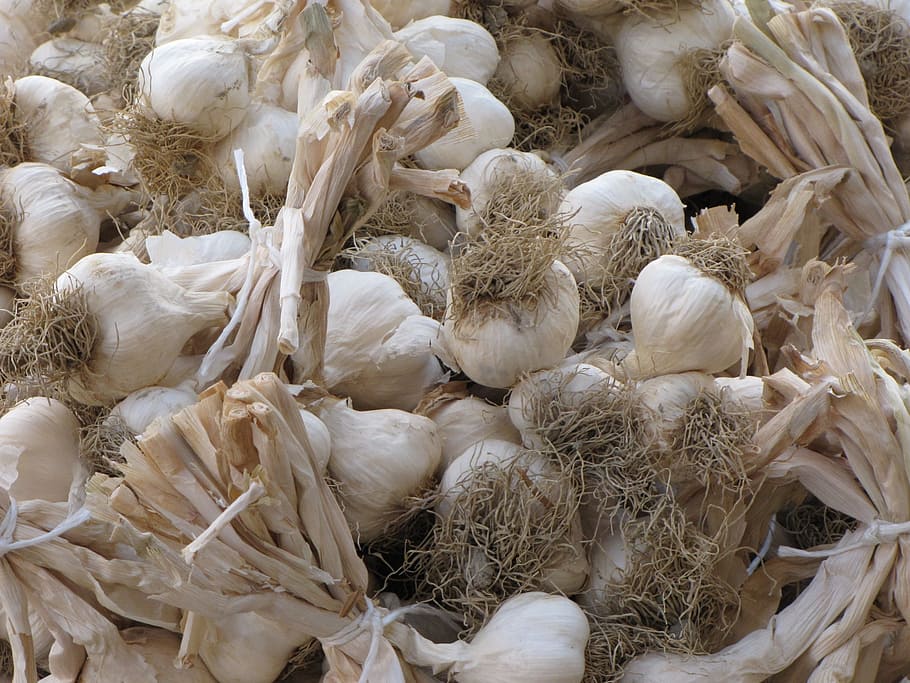 garlic, food, aromatic, nature, vegetables, vegetale, alimentari, kitchen, market, edible