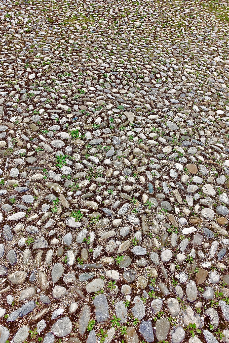 cobblestones, pavement, pattern, desktop, nature, abstract, full frame, backgrounds, high angle view, day