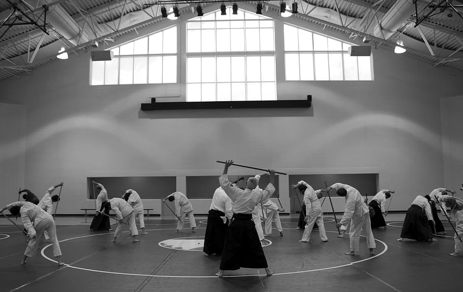 aikido, martial arts, self-defense, learning, seminar, senseis, training, group of people, real people, crowd