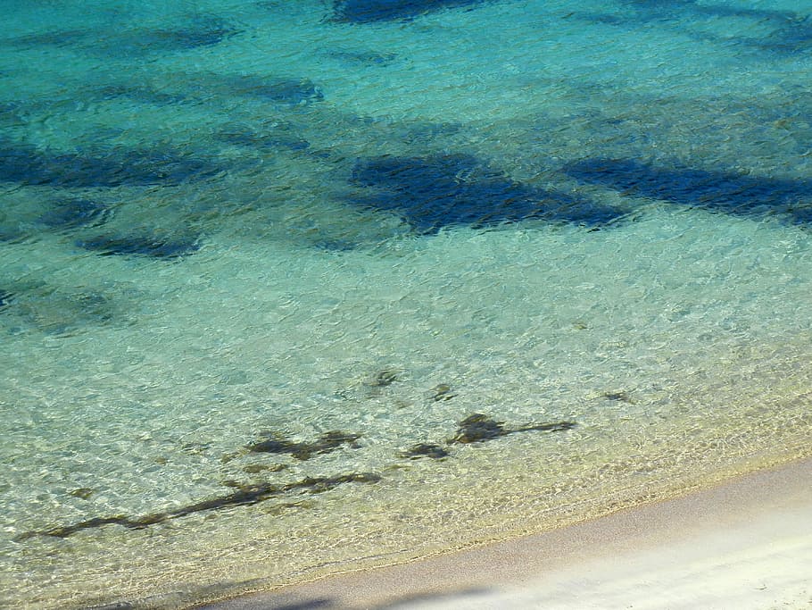 Ibiza, Mar, Playa, Transparencia, relajación, orilla, arena, naturaleza, sin gente, bajo el agua