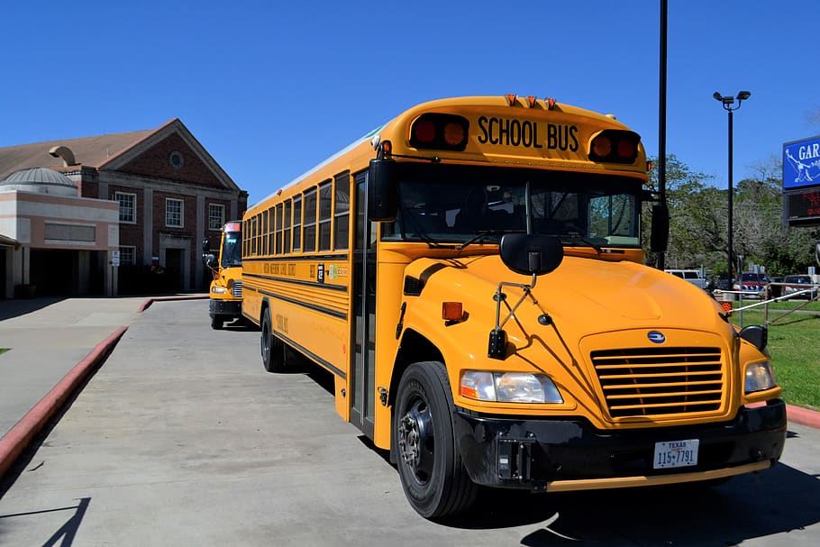 school bus, pre-school, kindergarten, preschool, learning, education, children, transit, educational education, middle school