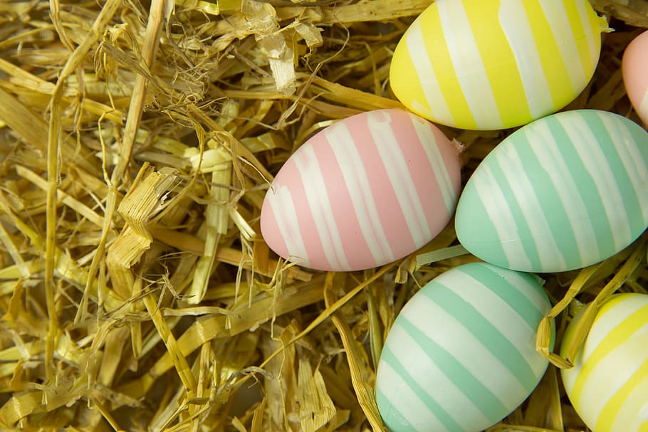 shot, Closeup, Easter eggs, various, easter, eggs, springtime, multi Colored, animal Egg, easter Egg