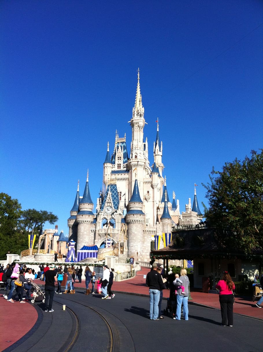 cinderela, castelo, Disney World, castelo de Cinderela, orlando florida, parque de diversões, férias, infância, atração, pessoas