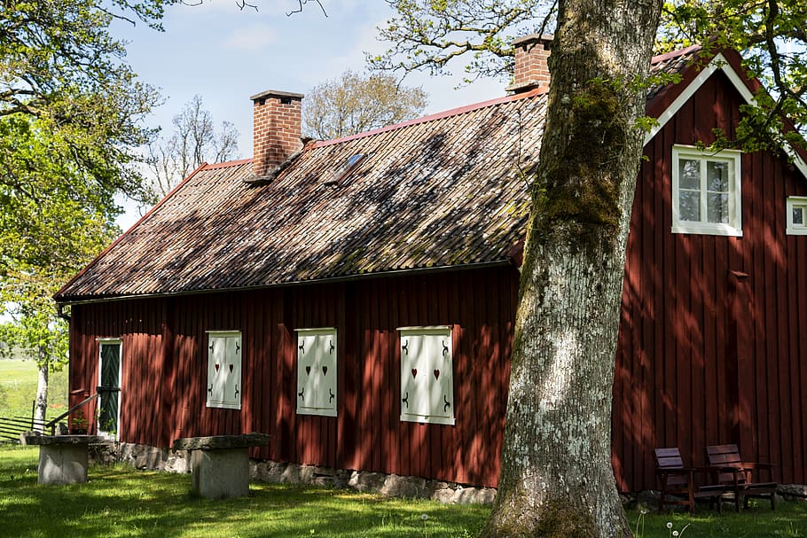 Swedia, alam, Kolam, rumah, falu rödfärg, merah, pohon, indah, pedesaan, wisma