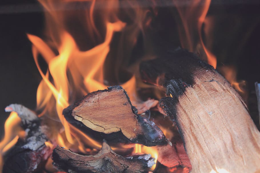 api, api unggun, pembakaran kayu, perapian, api - fenomena alam, pembakaran, mencatat, kayu, kayu bakar, panas - suhu