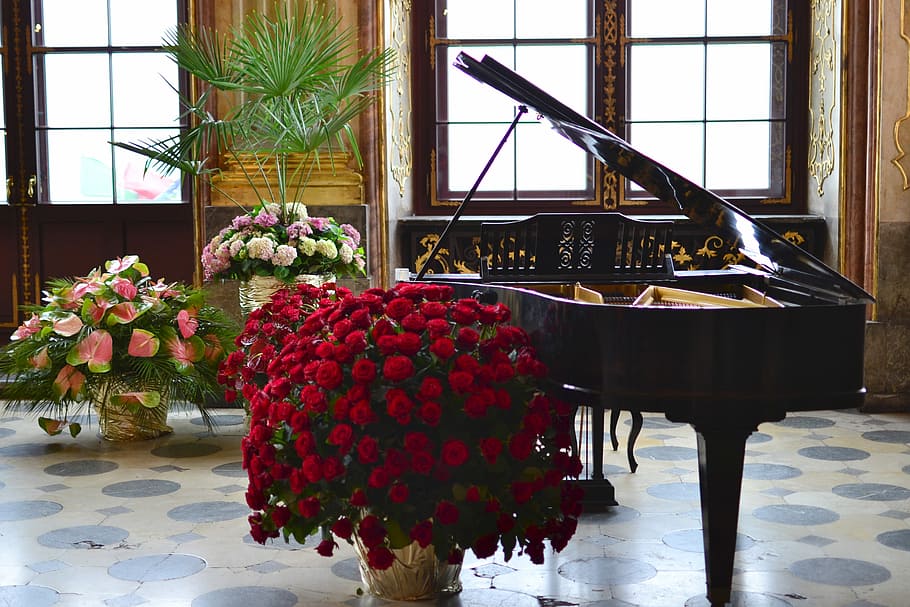 Rojo, flores de crisantemo, al lado, piano de cola, piano vertical, clásicos, el arte de, flores, música clásica, instrumento