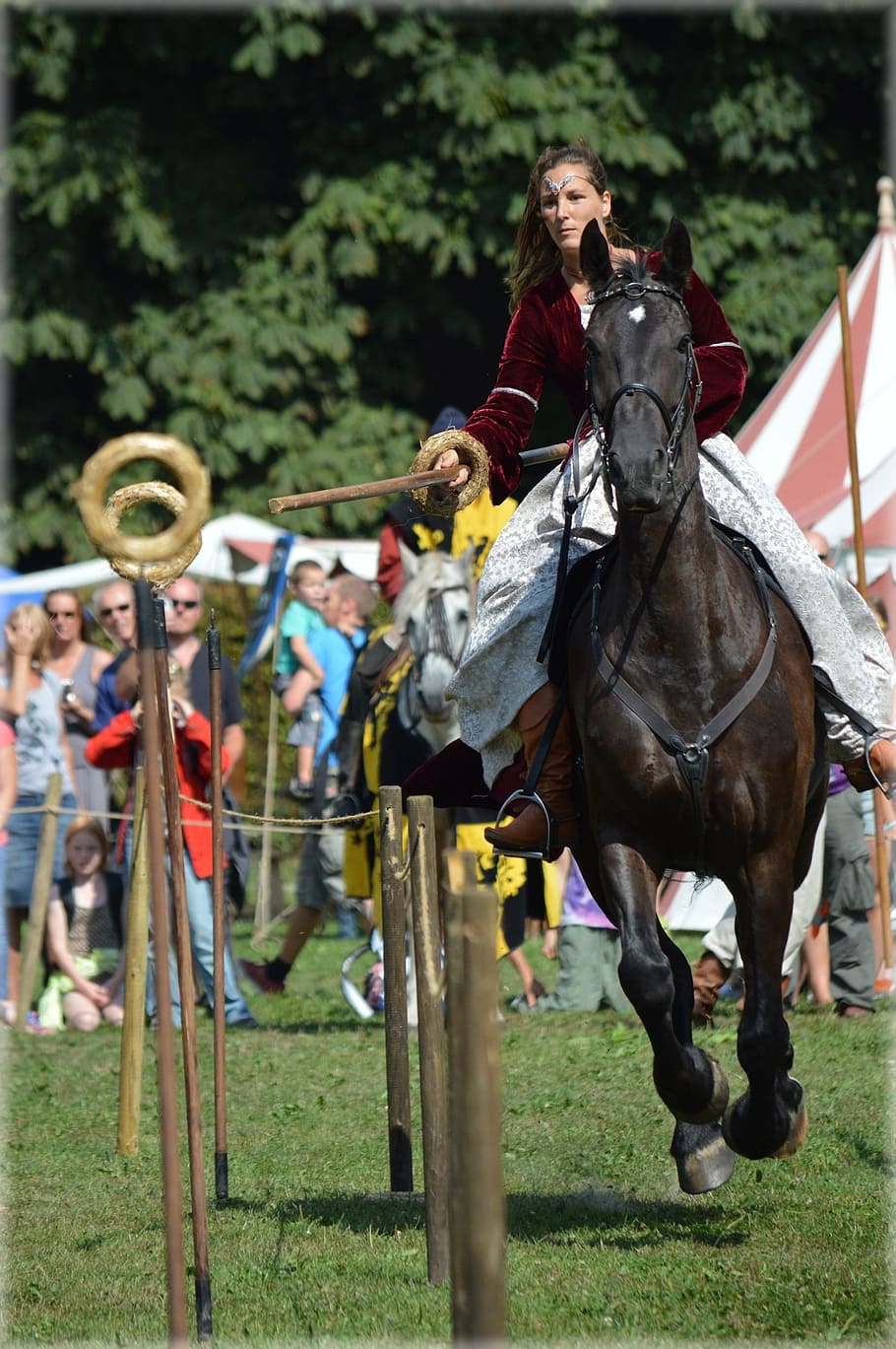 lances, medieval, skill, amsterdam, holland, knight show, knights, horses, horse, sport