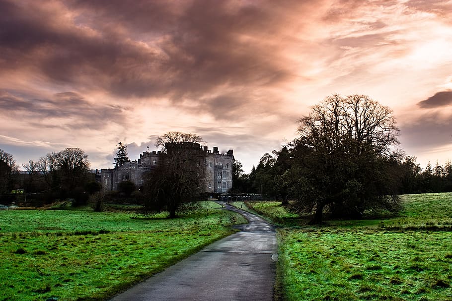 Castle, Ireland, Celtic, cloud - sky, rural scene, agriculture, tree, grass, scenics, plant