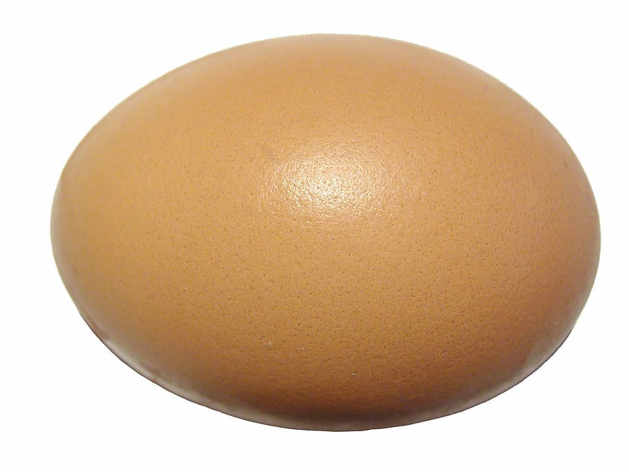 brown egg, egg, eggshell, protein, shell, ovoid, food, ingredient, isolated, cook